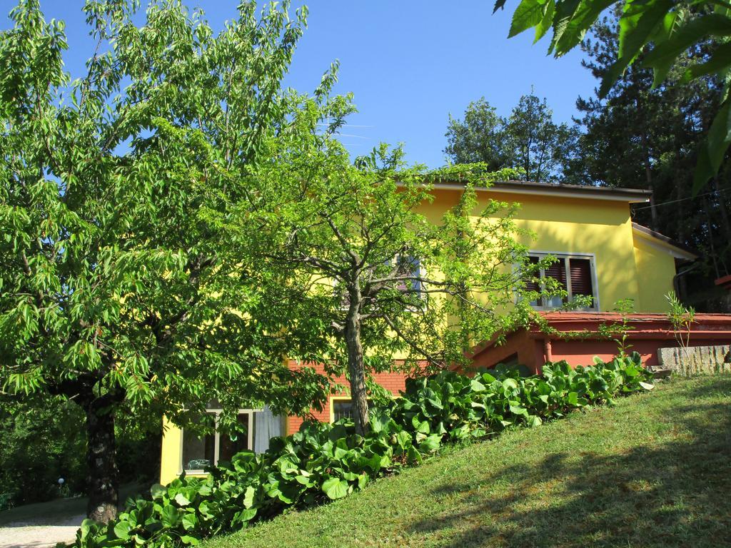 Casa Balducci Bed&Breakfast Bed and Breakfast Mercatello sul Metauro Esterno foto